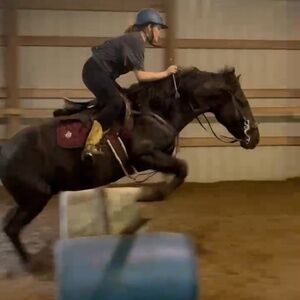 Red and brown saddle pad duo